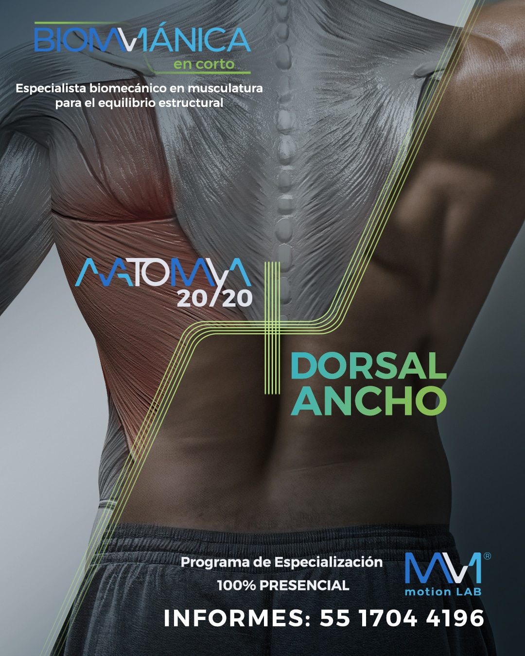 Módulo Dorsal Ancho + Anatomya 20/20