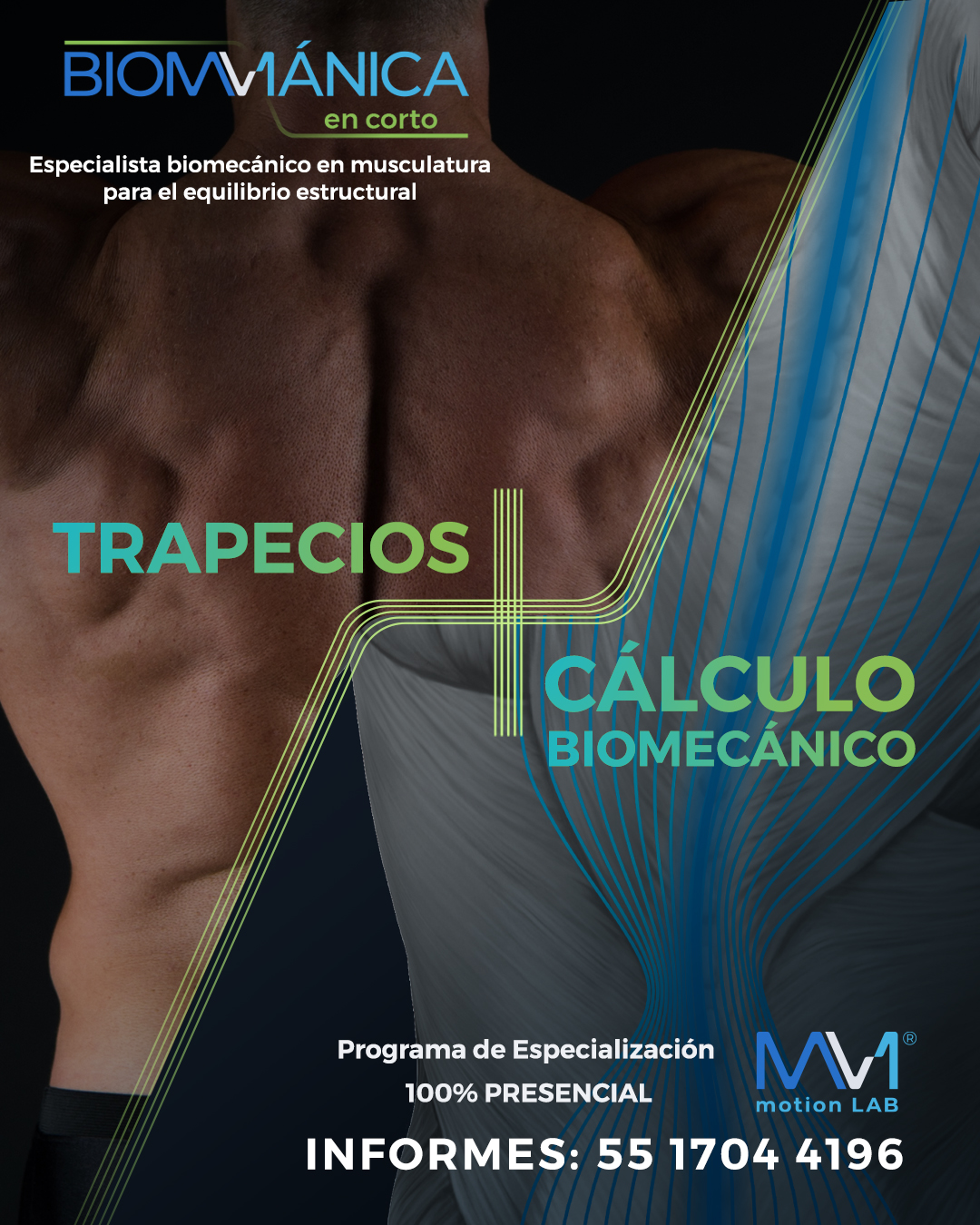 Trapecios + Cálculo Biomecánico